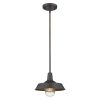 Antique Bronze Shallow Plate Adjustable Pendant Light