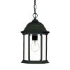 Matte Black Glass Lantern Hanging Light