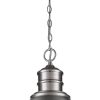 Silver Metal Dimmable Ceiling Light With Gray Shades
