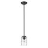 Black Metal and Glass Mini Pendant Hanging Light