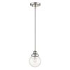 Silver Metal Hanging with Round Clear Glass Shade