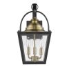 Black Clear And Brass Three Light Transparent Dimmable Outdoor Hanging Lights With Black Clear And Brass Shades