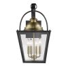 Black Clear And Brass Four Light Transparent Dimmable Outdoor Hanging Lights With Black Clear And Brass Shades