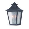 Black And Clear Two Light Frosted Dimmable Outdoor Hanging Lights With Black And Clear Shades