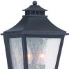 Black And Clear Two Light Frosted Dimmable Outdoor Hanging Lights With Black And Clear Shades