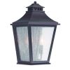 Black And Clear Two Light Seeded Dimmable Outdoor Hanging Lights With Black And Clear Shades