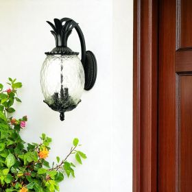 Matte Black Hanging Pineapple Wall Light