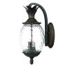 Black And Clear Three Light Crackled Dimmable Outdoor Hanging Lights With Black And Clear Shades