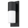Black Frosted Dimmable Outdoor Hanging Light With Black And White Shades