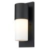 Black Frosted Dimmable Outdoor Hanging Light With Black And White Shades