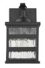 Glass panel Matte Black Outdoor Cage Light