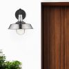 Silver Seeded Dimmable Outdoor Hanging Light With Silver Shades