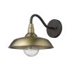 Brass Seeded Dimmable Outdoor Hanging Light With Brass Shades