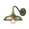 Brass Seeded Dimmable Outdoor Hanging Light With Brass Shades