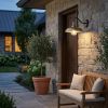 Brass Seeded Dimmable Outdoor Hanging Light With Brass Shades