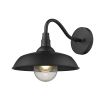 Black Seeded Dimmable Outdoor Hanging Light With Black Shades