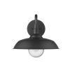 Black Seeded Dimmable Outdoor Hanging Light With Black Shades
