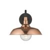 Copper And Black Seeded Dimmable Outdoor Hanging Light With Copper And Black Shades