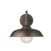 Bronze Seeded Dimmable Outdoor Hanging Light With Bronze Shades