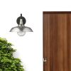 Silver And Black Seeded Dimmable Outdoor Hanging Light With Silver And Black Shades