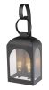 Black And Clear 2 Light Transparent Dimmable Outdoor Hanging Light