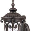 Antiqued Bronze Seeded Dimmable Outdoor Hanging Light With Antiqued Bronze Shades