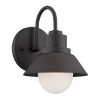 Black And White Frosted Dimmable Outdoor Hanging Light With Black And White Shades