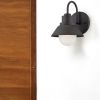 Black And White Frosted Dimmable Outdoor Hanging Light With Black And White Shades