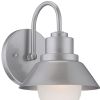 Silver And White Frosted Dimmable Outdoor Hanging Light With Silver And White Shades