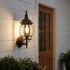 Matte Black Ornamental Glass Globe Wall Light