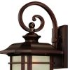 Antiqued Bronze And Clear Frosted Dimmable Outdoor Hanging Light With Antiqued Bronze And Clear Shades