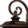 Antiqued Bronze And Clear Frosted Dimmable Outdoor Hanging Light With Antiqued Bronze And Clear Shades