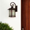 Antiqued Bronze And Clear Frosted Dimmable Outdoor Hanging Light With Antiqued Bronze And Clear Shades
