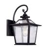 Matte Black Terrarium Shape Wall Light