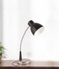 Black Matte and Silver LED Adjustable Desk Lamp