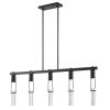 Black And Clear Five Light Metal Dimmable Smart Enabled Chandelier With Clear Shades