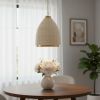 Brown Single Metal Dimmable Ceiling Light With Brown Shades