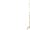 Clear Single Glass Dimmable Ceiling Light With Clear Shades