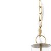 Clear Single Glass Dimmable Ceiling Light With Clear Shades