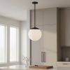 10" Black And White Frosted LED Dimmable Outdoor Globe Hanging Light