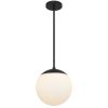 10" Black And White Frosted LED Dimmable Outdoor Globe Hanging Light