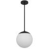 10" Black And White Frosted LED Dimmable Outdoor Globe Hanging Light