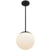 10" Black And White Frosted LED Dimmable Outdoor Globe Hanging Light