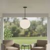 Black And White Frosted LED Dimmable Outdoor Hanging Light With Black Shades