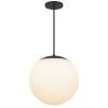Black And White Frosted LED Dimmable Outdoor Hanging Light With Black Shades