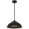 Black Frosted LED Dimmable Outdoor Hanging Light With Black Shades