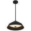 Black Frosted LED Dimmable Outdoor Hanging Light With Black Shades