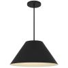 22" Black Aluminum Cone LED Dimmable Outdoor Pendent Hanging Light
