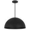 24" Black Aluminum Dome LED Dimmable Outdoor Pendent Hanging Light