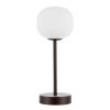 12" Antiqued Bronze Novelty USB Table Lamp With Globe Shade